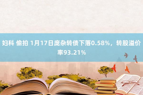 妇科 偷拍 1月17日庞杂转债下落0.58%，转股溢价率93.21%