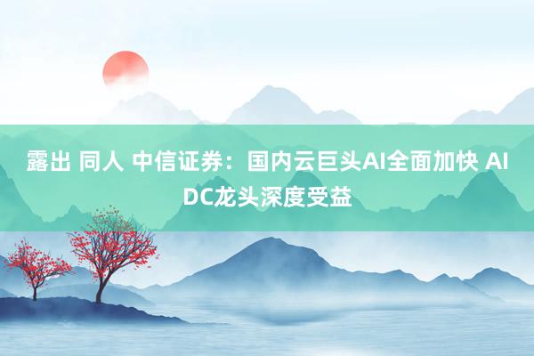 露出 同人 中信证券：国内云巨头AI全面加快 AIDC龙头深度受益