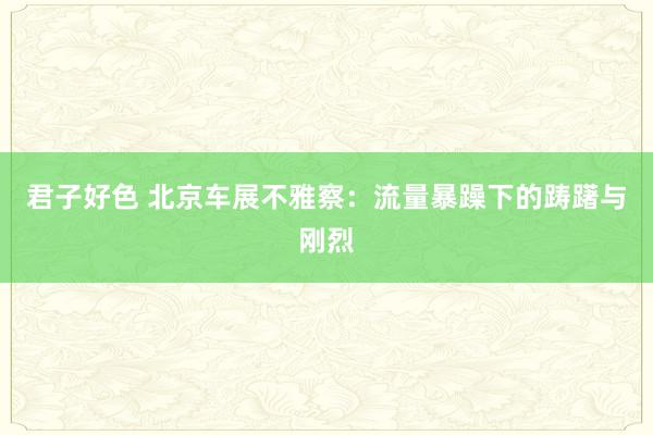 君子好色 北京车展不雅察：流量暴躁下的踌躇与刚烈