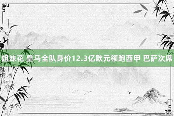 姐妹花 皇马全队身价12.3亿欧元领跑西甲 巴萨次席