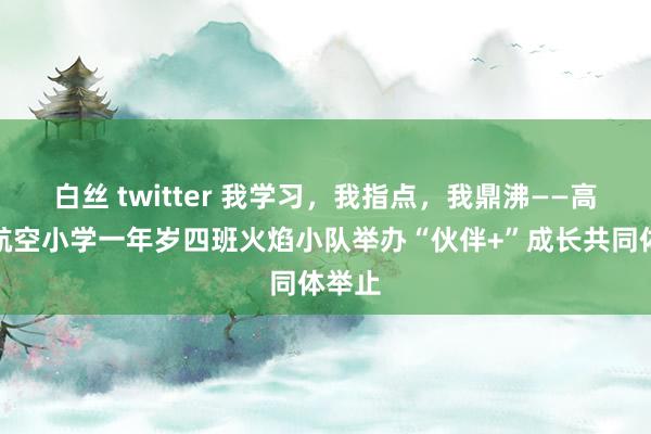 白丝 twitter 我学习，我指点，我鼎沸——高新区航空小学一年岁四班火焰小队举办“伙伴+”成长共同体举止