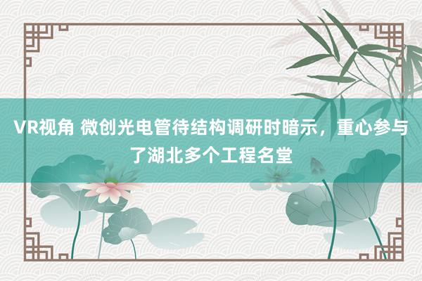 VR视角 微创光电管待结构调研时暗示，重心参与了湖北多个工程名堂
