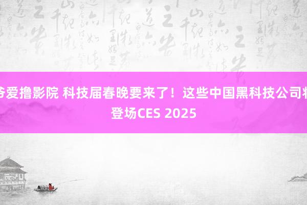 爷爱撸影院 科技届春晚要来了！这些中国黑科技公司将登场CES 2025
