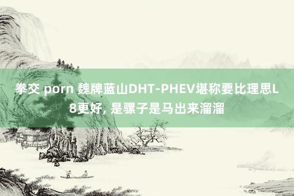 拳交 porn 魏牌蓝山DHT-PHEV堪称要比理思L8更好， 是骡子是马出来溜溜