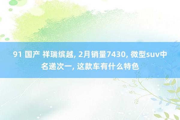 91 国产 祥瑞缤越， 2月销量7430， 微型suv中名递次一， 这款车有什么特色