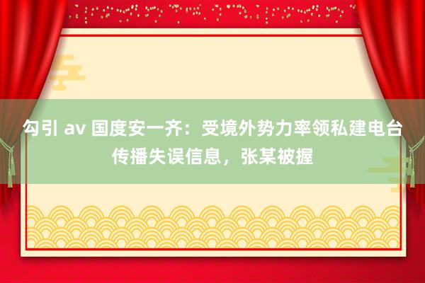 勾引 av 国度安一齐：受境外势力率领私建电台传播失误信息，张某被握