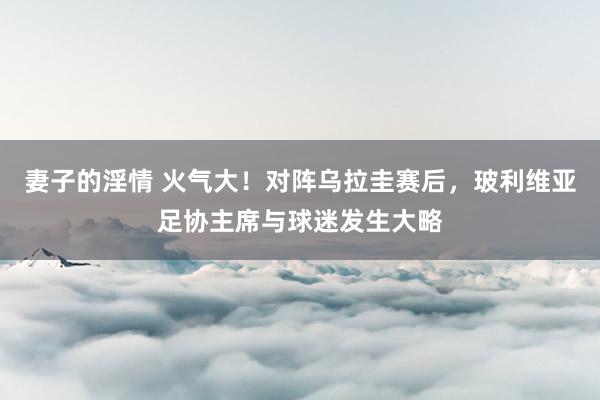 妻子的淫情 火气大！对阵乌拉圭赛后，玻利维亚足协主席与球迷发生大略