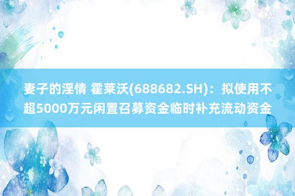妻子的淫情 霍莱沃(688682.SH)：拟使用不超5000万元闲置召募资金临时补充流动资金
