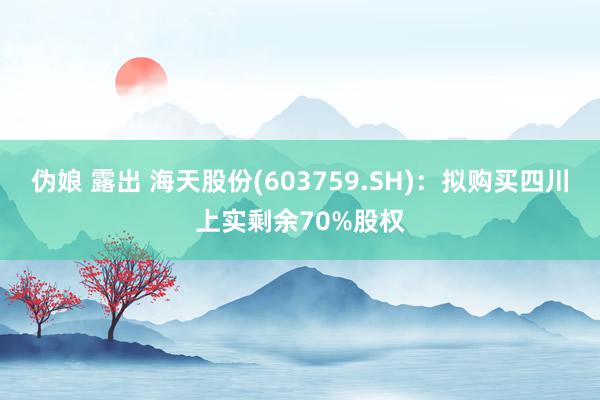 伪娘 露出 海天股份(603759.SH)：拟购买四川上实剩余70%股权