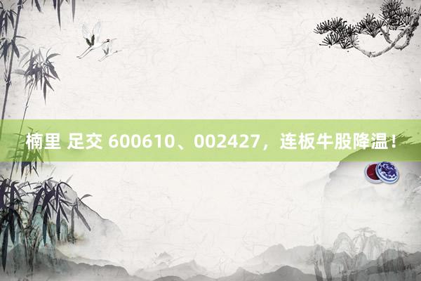 楠里 足交 600610、002427，连板牛股降温！