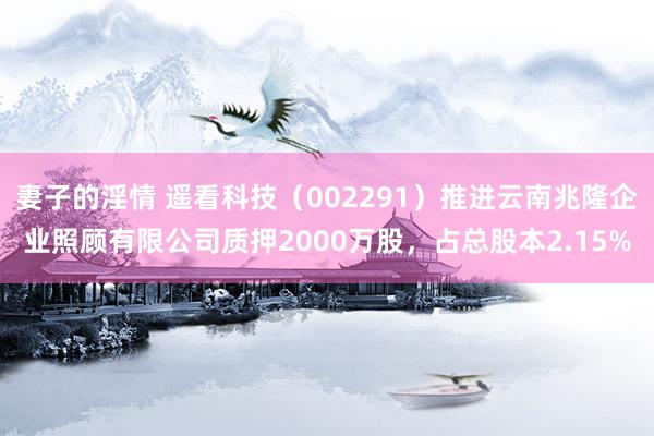 妻子的淫情 遥看科技（002291）推进云南兆隆企业照顾有限公司质押2000万股，占总股本2.15%