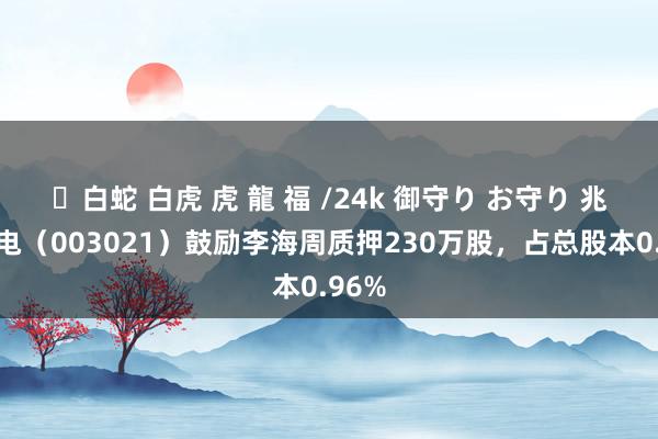 ✨白蛇 白虎 虎 龍 福 /24k 御守り お守り 兆威机电（003021）鼓励李海周质押230万股，占总股本0.96%