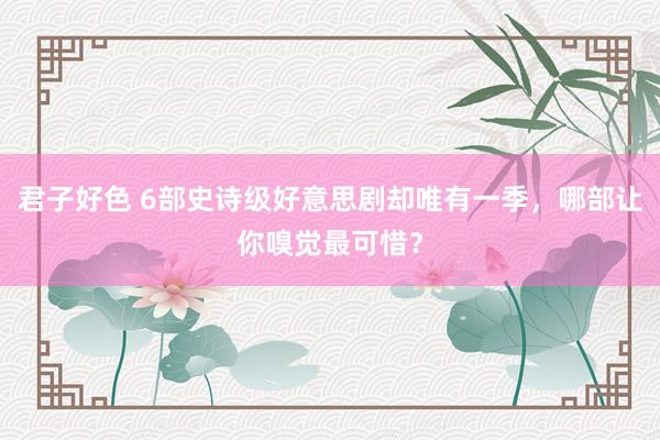 君子好色 6部史诗级好意思剧却唯有一季，哪部让你嗅觉最可惜？