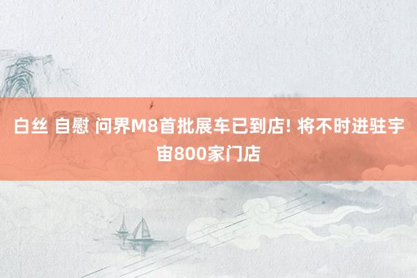白丝 自慰 问界M8首批展车已到店! 将不时进驻宇宙800家门店