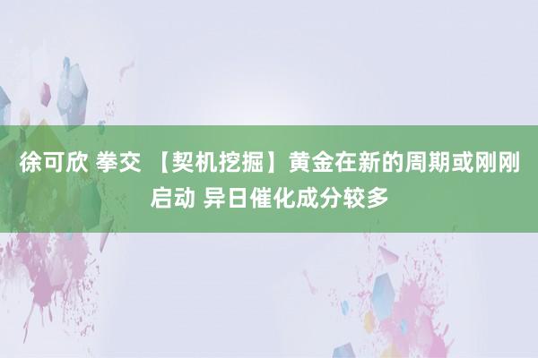 徐可欣 拳交 【契机挖掘】黄金在新的周期或刚刚启动 异日催化成分较多