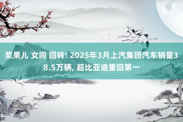 浆果儿 女同 回转! 2025年3月上汽集团汽车销量38.5万辆， 超比亚迪重回第一