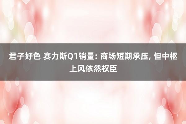 君子好色 赛力斯Q1销量: 商场短期承压， 但中枢上风依然权臣