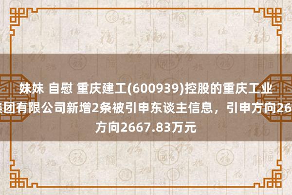 妹妹 自慰 重庆建工(600939)控股的重庆工业开拓装置集团有限公司新增2条被引申东谈主信息，引申方向2667.83万元