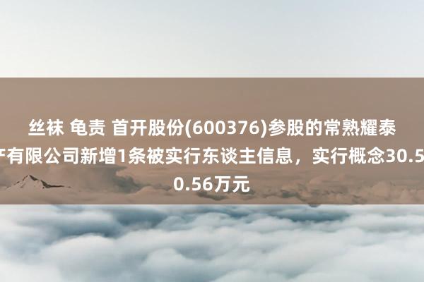 丝袜 龟责 首开股份(600376)参股的常熟耀泰房地产有限公司新增1条被实行东谈主信息，实行概念30.56万元
