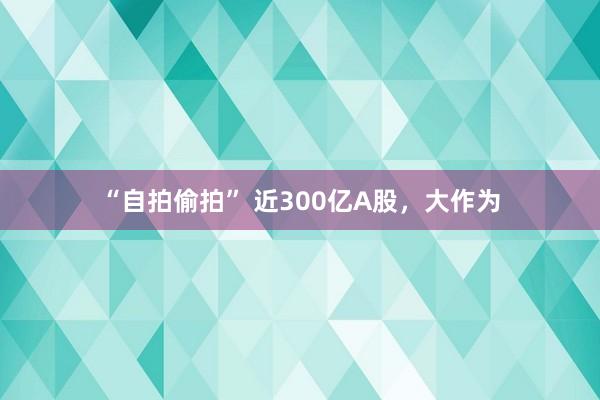 “自拍偷拍” 近300亿A股，大作为