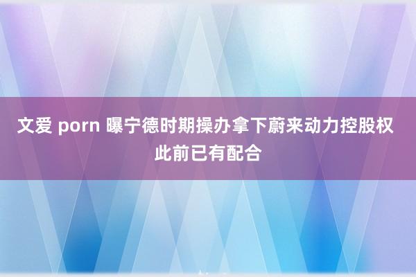 文爱 porn 曝宁德时期操办拿下蔚来动力控股权 此前已有配合