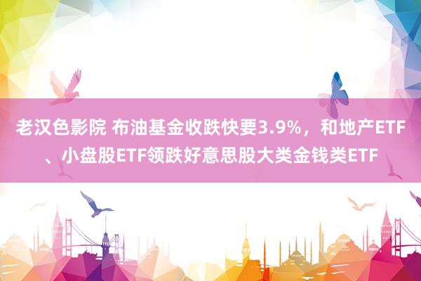 老汉色影院 布油基金收跌快要3.9%，和地产ETF、小盘股ETF领跌好意思股大类金钱类ETF