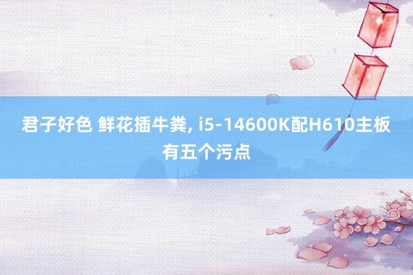 君子好色 鲜花插牛粪， i5-14600K配H610主板有五个污点