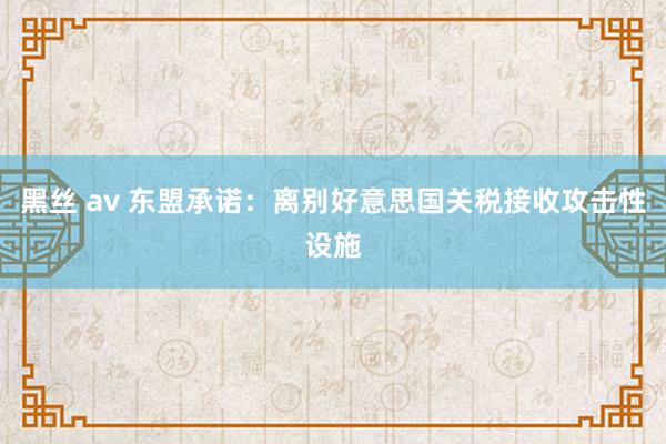 黑丝 av 东盟承诺：离别好意思国关税接收攻击性设施