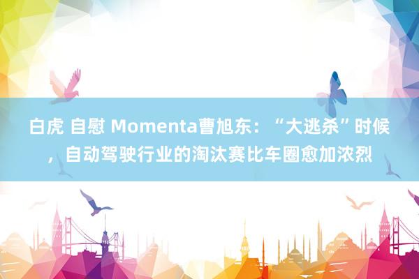 白虎 自慰 Momenta曹旭东：“大逃杀”时候，自动驾驶行业的淘汰赛比车圈愈加浓烈