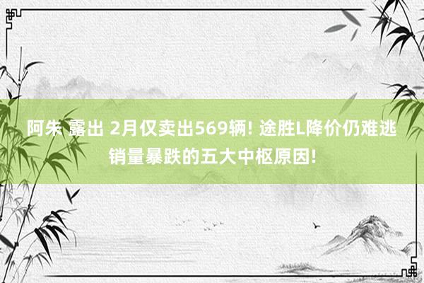 阿朱 露出 2月仅卖出569辆! 途胜L降价仍难逃销量暴跌的五大中枢原因!