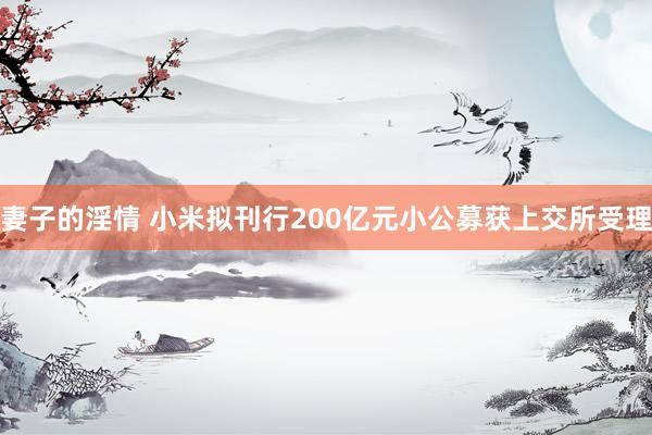 妻子的淫情 小米拟刊行200亿元小公募获上交所受理