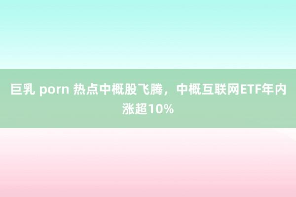 巨乳 porn 热点中概股飞腾，中概互联网ETF年内涨超10%
