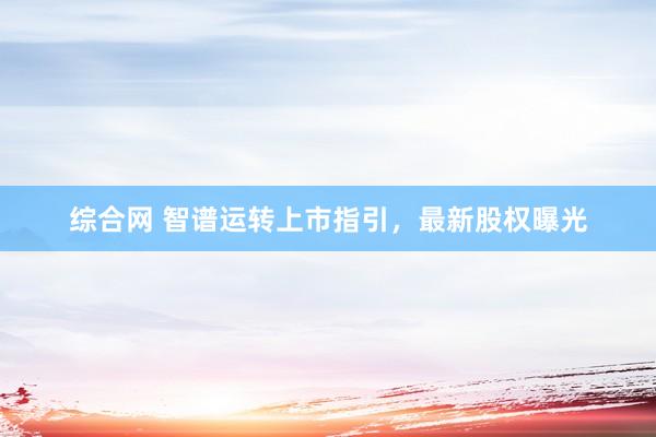 综合网 智谱运转上市指引，最新股权曝光