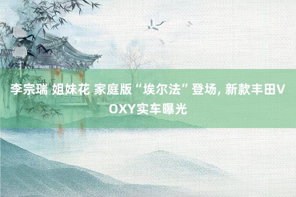 李宗瑞 姐妹花 家庭版“埃尔法”登场， 新款丰田VOXY实车曝光