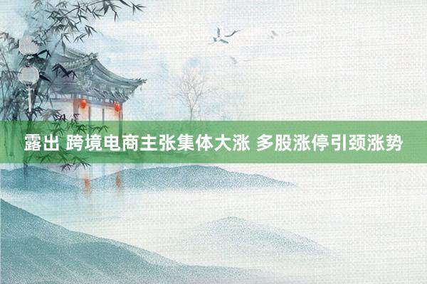 露出 跨境电商主张集体大涨 多股涨停引颈涨势