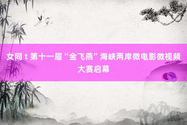 女同 t 第十一届“金飞燕”海峡两岸微电影微视频大赛启幕