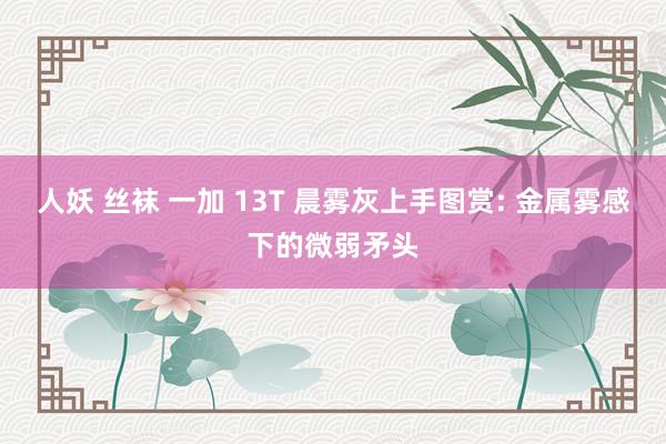 人妖 丝袜 一加 13T 晨雾灰上手图赏: 金属雾感下的微弱矛头
