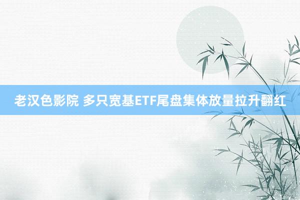 老汉色影院 多只宽基ETF尾盘集体放量拉升翻红