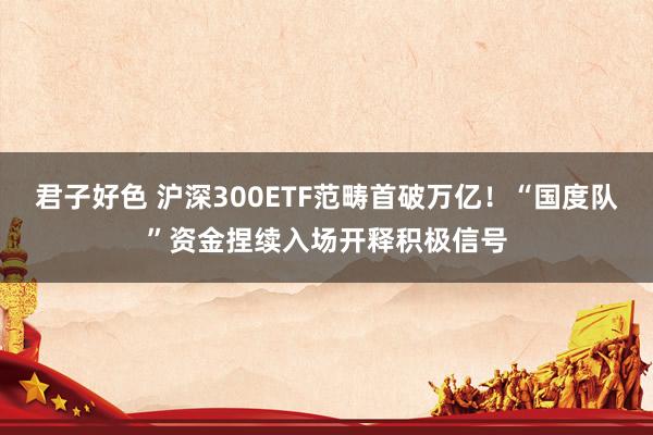 君子好色 沪深300ETF范畴首破万亿！“国度队”资金捏续入场开释积极信号