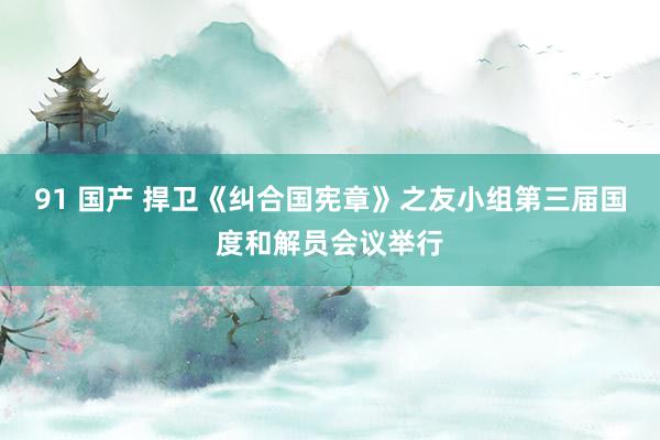 91 国产 捍卫《纠合国宪章》之友小组第三届国度和解员会议举行