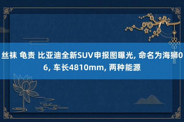 丝袜 龟责 比亚迪全新SUV申报图曝光， 命名为海狮06， 车长4810mm， 两种能源