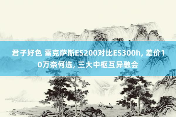 君子好色 雷克萨斯ES200对比ES300h， 差价10万奈何选， 三大中枢互异融会