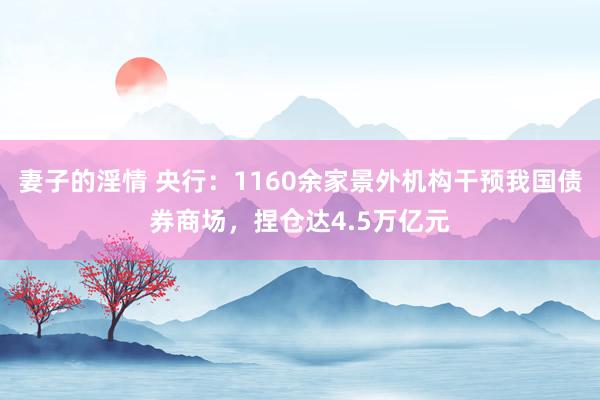 妻子的淫情 央行：1160余家景外机构干预我国债券商场，捏仓达4.5万亿元