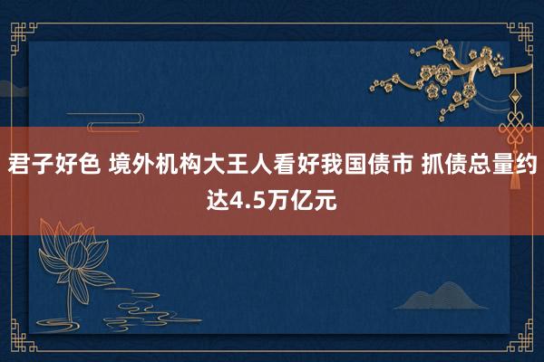 君子好色 境外机构大王人看好我国债市 抓债总量约达4.5万亿元