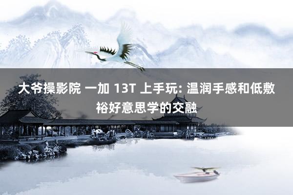 大爷操影院 一加 13T 上手玩: 温润手感和低敷裕好意思学的交融