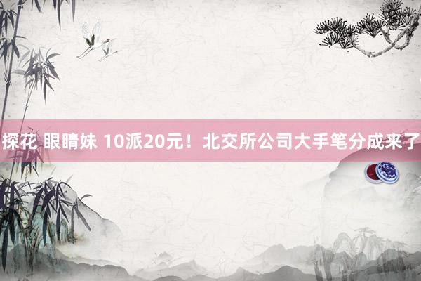 探花 眼睛妹 10派20元！北交所公司大手笔分成来了