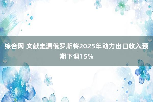综合网 文献走漏俄罗斯将2025年动力出口收入预期下调15%