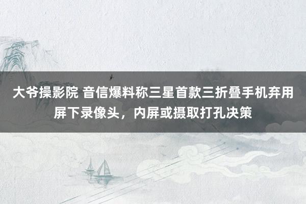 大爷操影院 音信爆料称三星首款三折叠手机弃用屏下录像头，内屏或摄取打孔决策