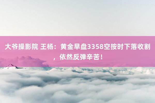 大爷操影院 王杨：黄金早盘3358空按时下落收割，依然反弹辛苦！