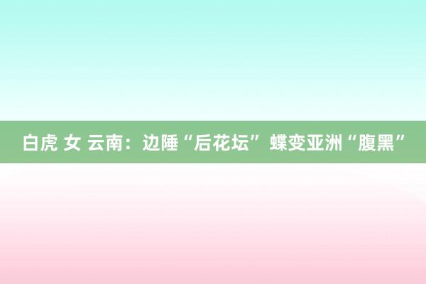 白虎 女 云南：边陲“后花坛” 蝶变亚洲“腹黑”